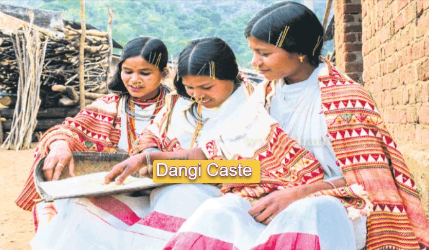 Exploring the Dangi Caste: A Journey Through Culture and History